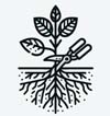 Icon For root cutting